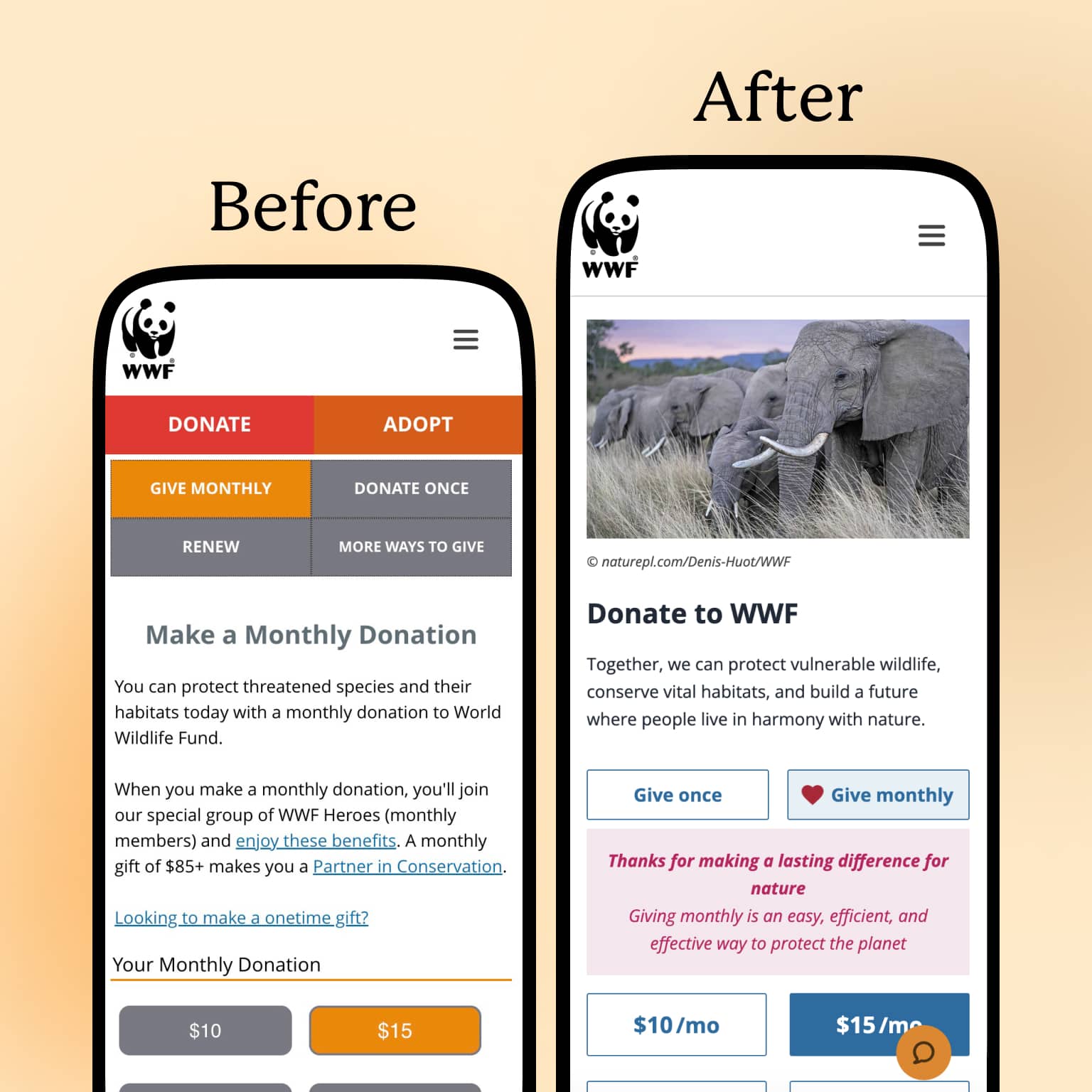 Check out this before and after comparison of WWF's mobile donation page design