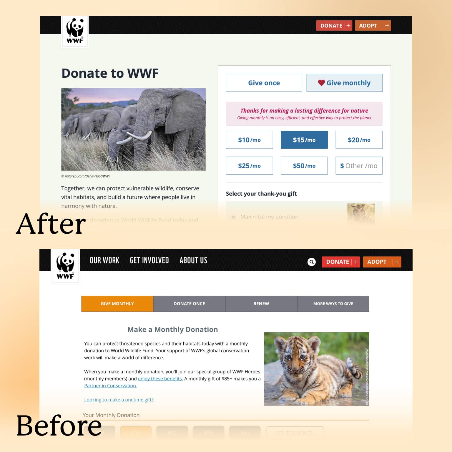 Before and after comparison of WWF's donation page. A path toward simplicity; Making forms easier to complete.